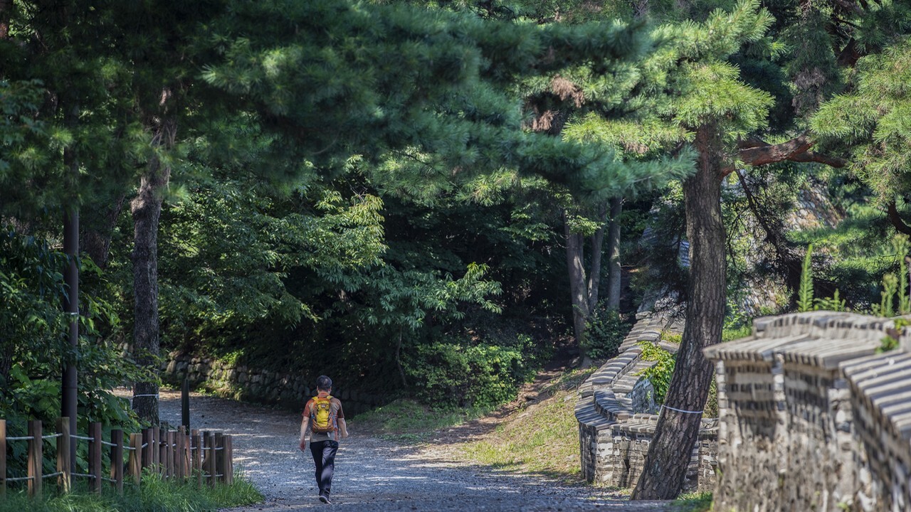 Namhansanseong Pine Tree Wall Trail