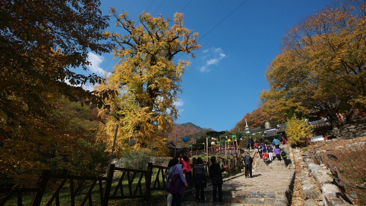 Yangpyeong Yongmunsa Temple autumn entrance walkway