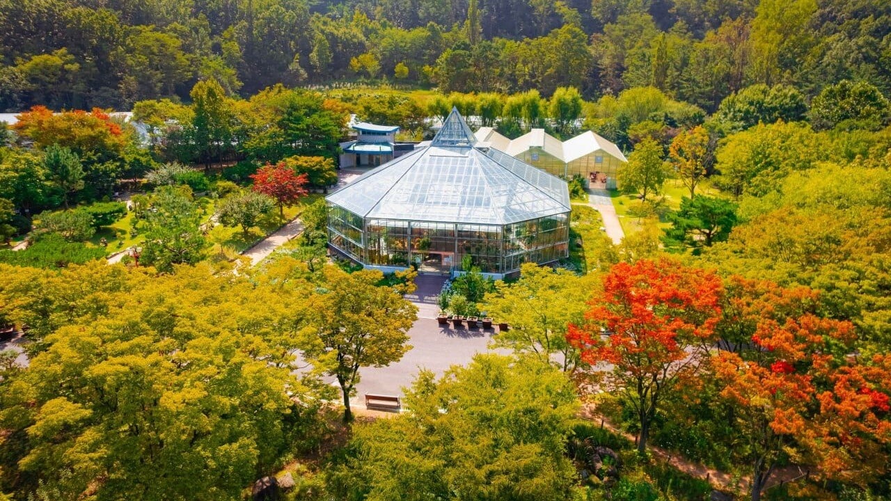 대구수목원 가을 숲과 유리온실의 지붕을 위에서 바라본 풍경