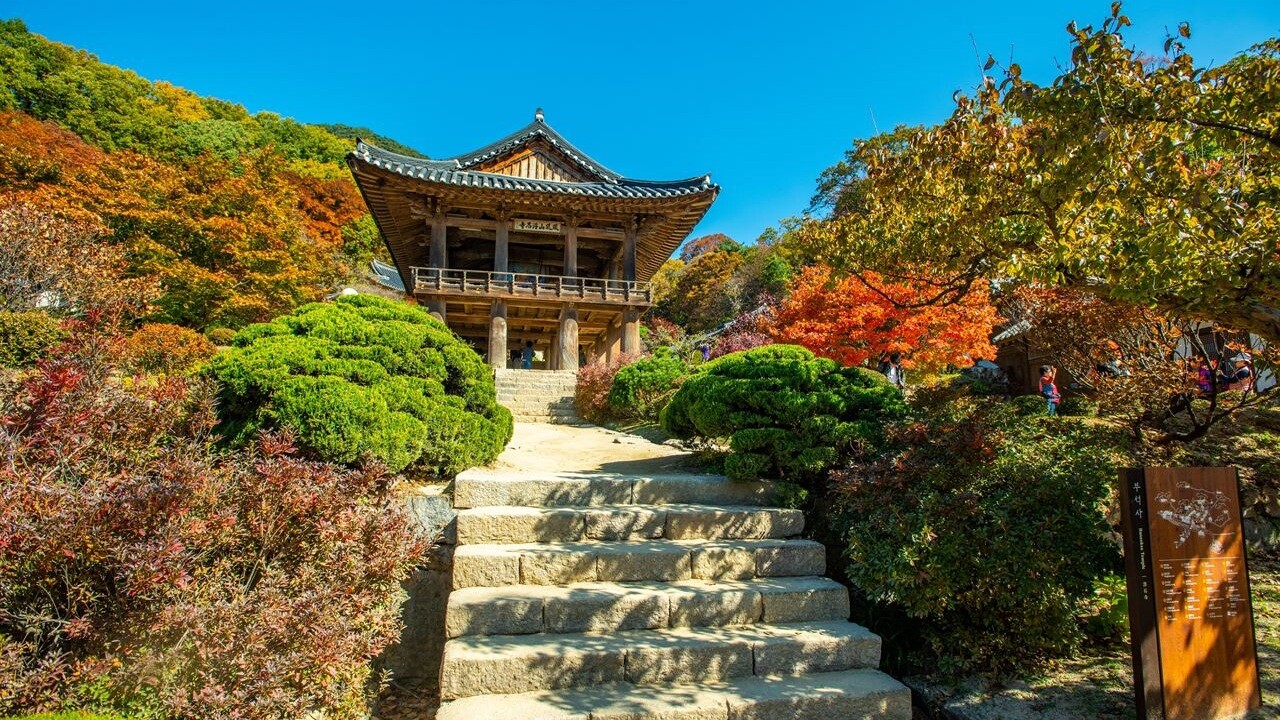 영주 부석사 가을 풍경: 영주 부석사 경내로 오르는 돌계단과 누각, 주변 가을 나무