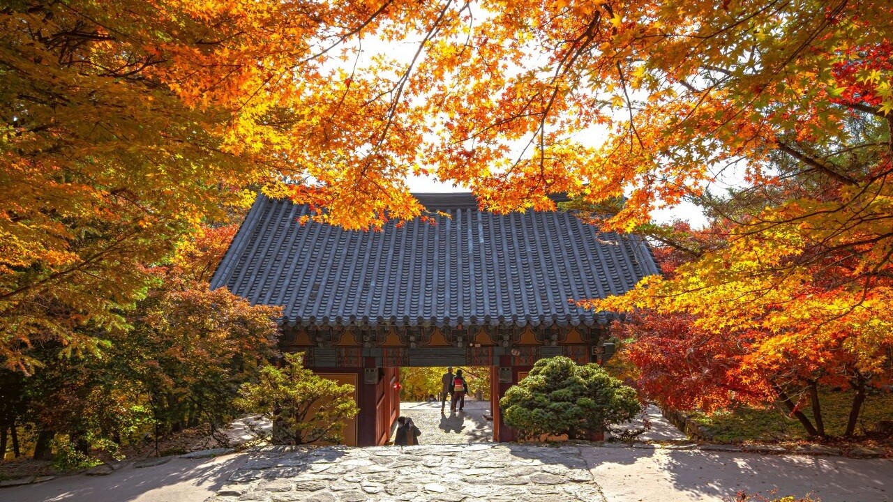 부석사 경내의 기와지붕 문과 그 아래 돌길, 양옆의 단풍