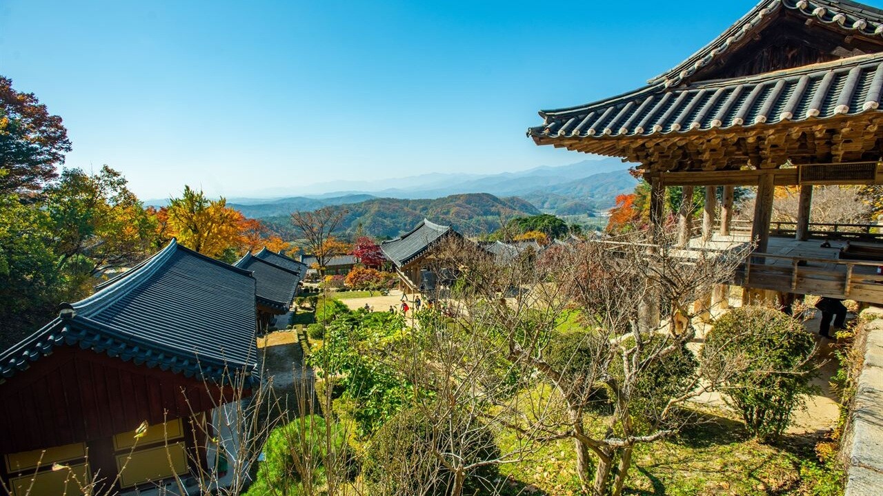 부석사 경내에서 내려다본 기와지붕과 나무, 뒤쪽 산의 전경