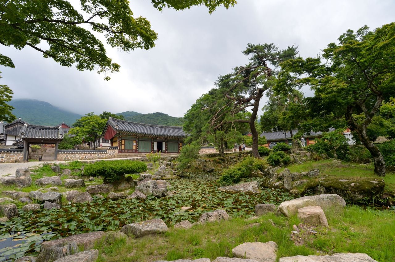 대흥사 전각 사이의 물가와 돌, 주변 수목이 이어지는 풍경