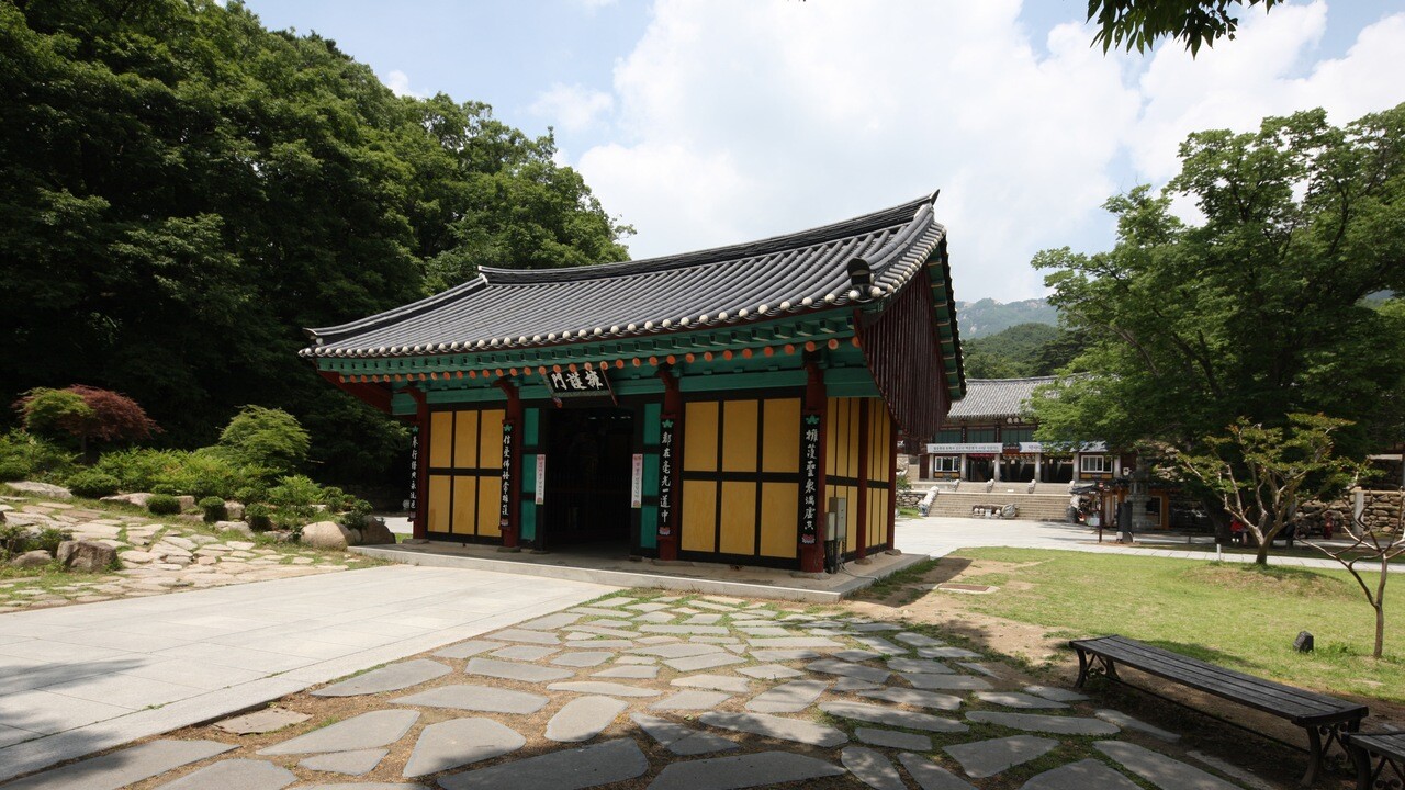 나무 그늘과 포장길 사이에 놓인 동화사의 문