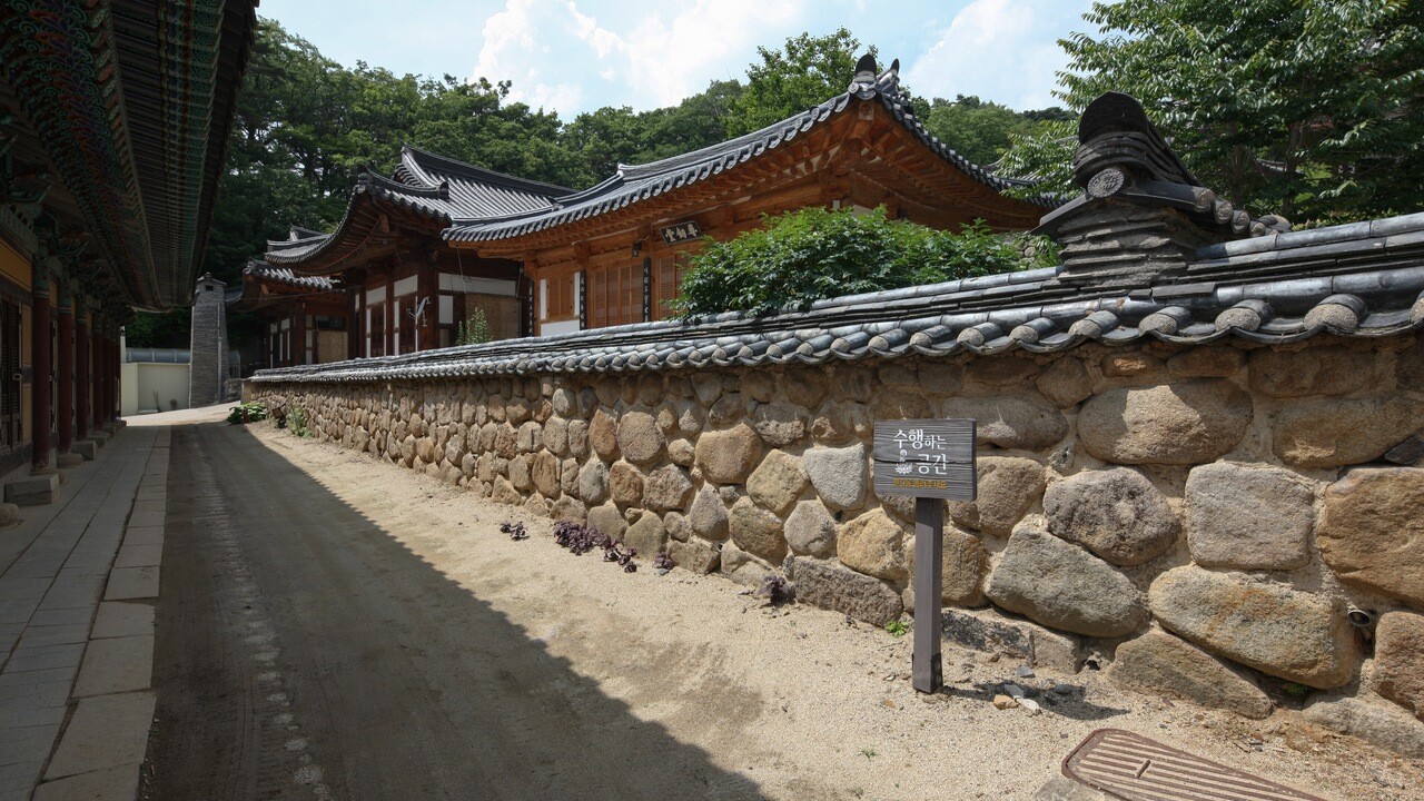 동화사 기와를 얹은 돌담과 전각 사이의 길