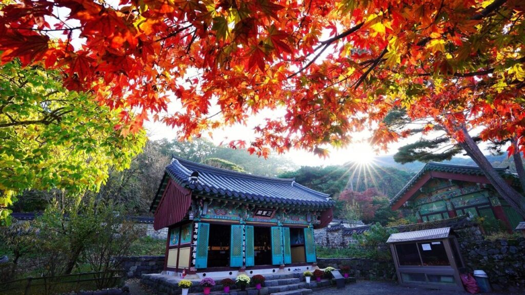 공주 갑사 — 충청남도 공주시 계룡면