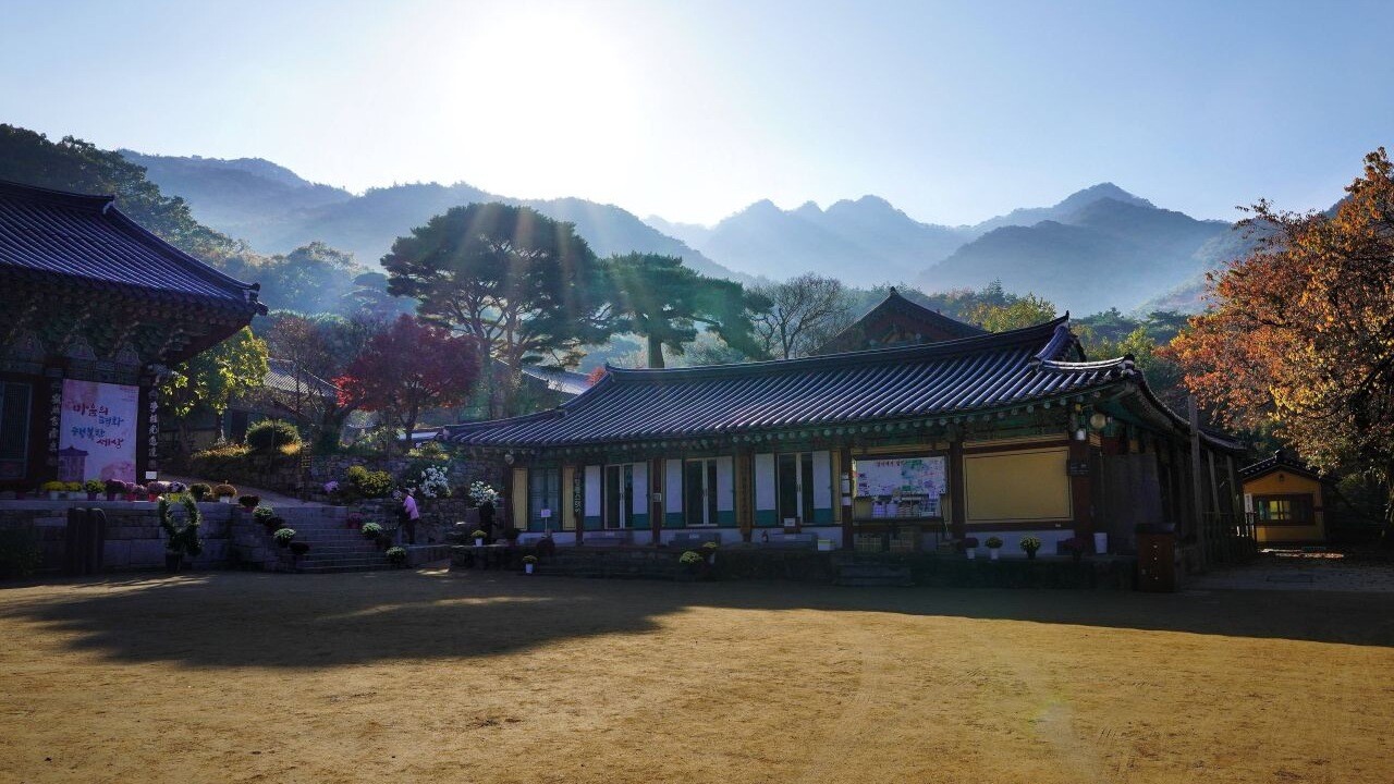 계룡산 능선 아래 갑사의 전각과 열린 마당