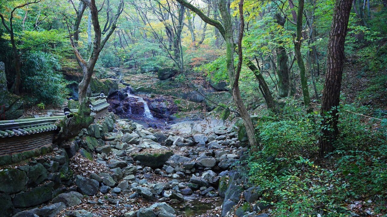 갑사 주변 계곡의 바위와 숲, 낮은 기와 담장