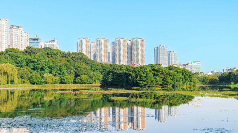 Goyang Autumn Flower Festival 2026: Free Entry and a Lake Park Walk