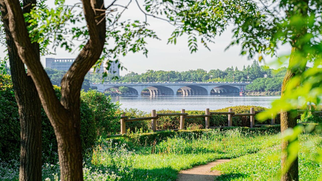 A path between trees with a view toward the water at Ilsan Lake Park