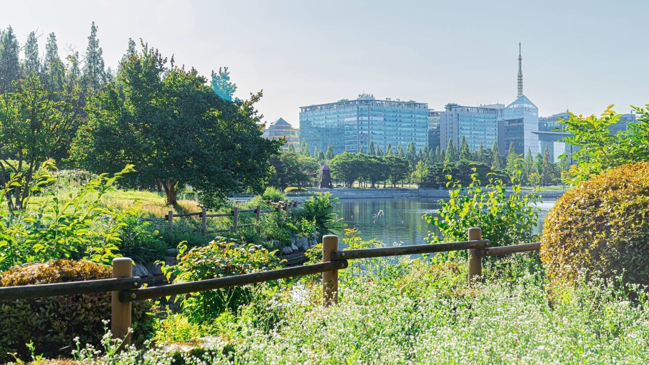 Trees and a railing along the water at Ilsan Lake Park