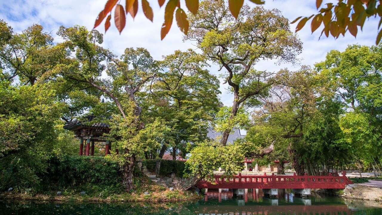 광한루원 연못가의 붉은 다리와 작은 누각, 넓게 펼쳐진 나무