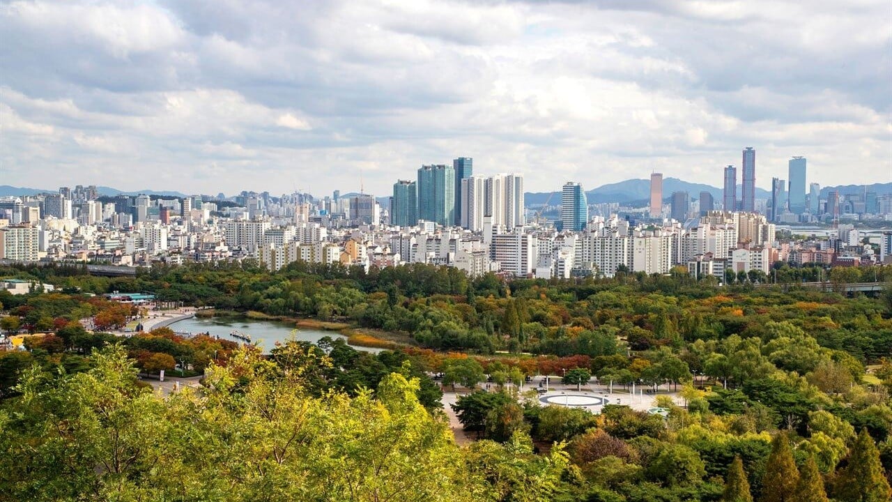하늘공원에서 바라본 초록 공간과 서울의 건물들