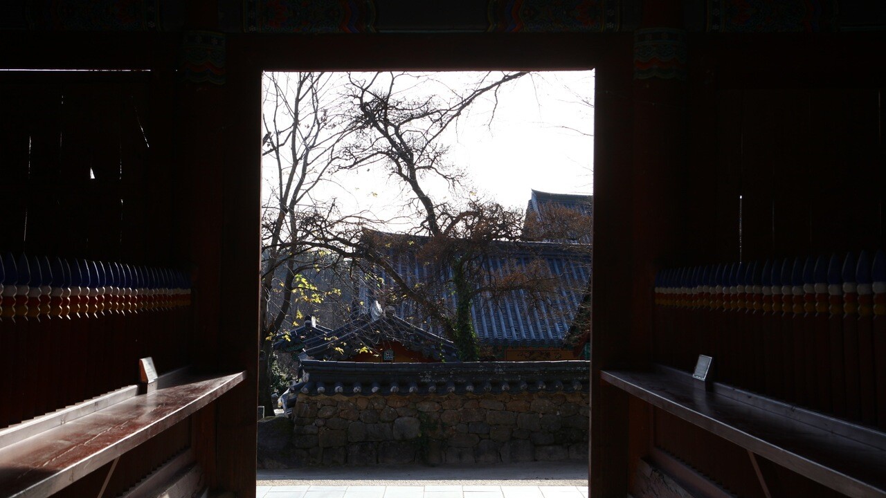 화엄사 문 통로 안쪽 그늘에서 바라본 나뭇가지와 기와지붕