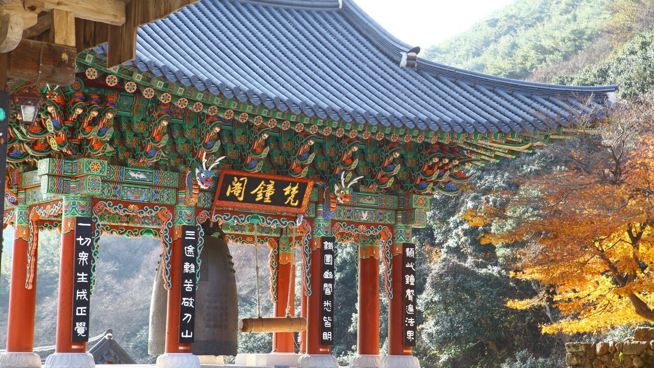 화엄사 각황전 현판과 단청, 처마 옆으로 물든 노란 잎