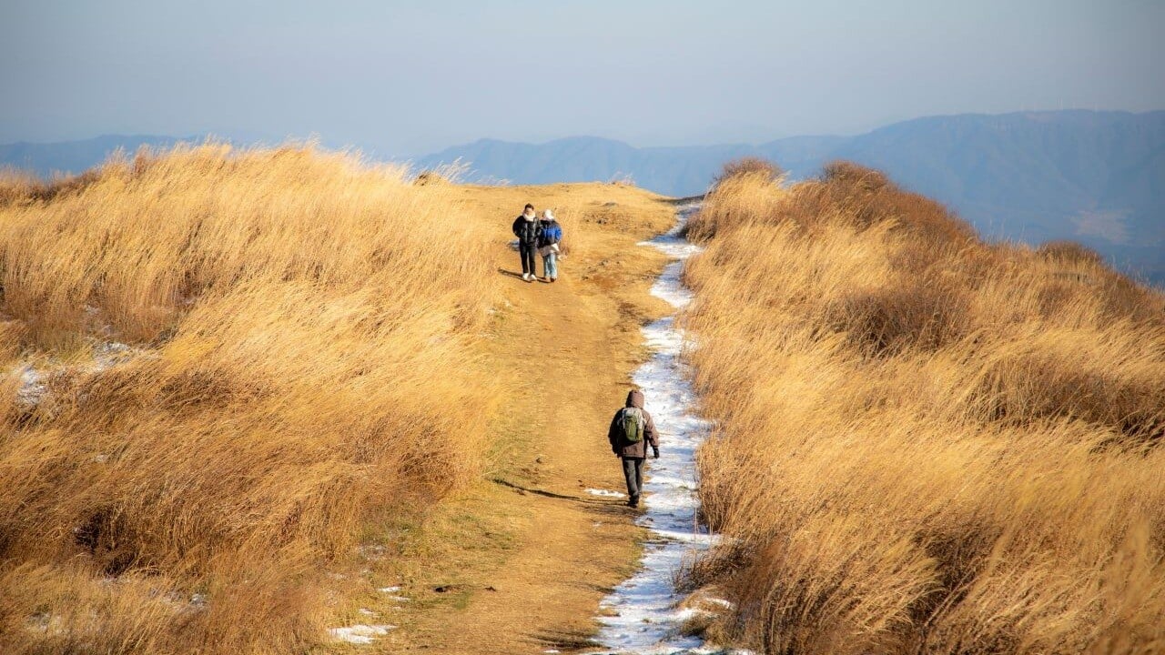 A marked walking path between tall autumn grass at Hwangmaesan