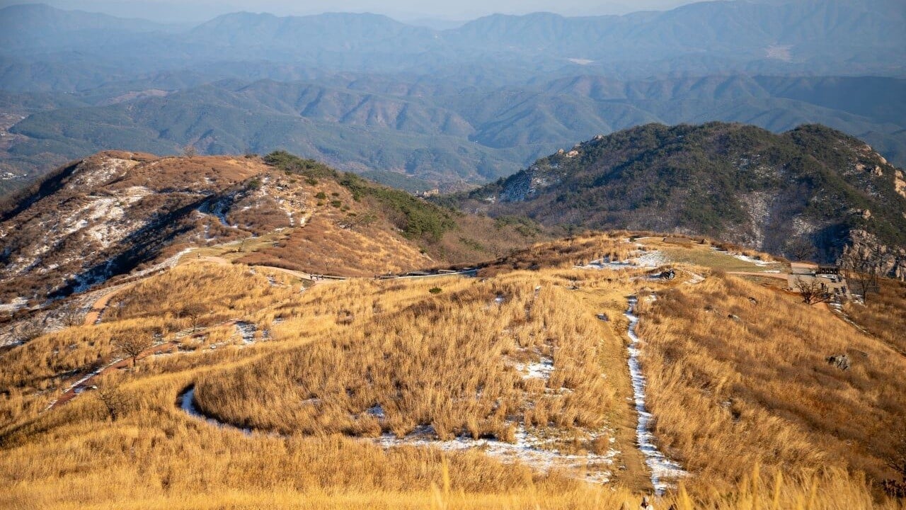 Silver grass and walking paths above layers of mountains at Hwangmaesan