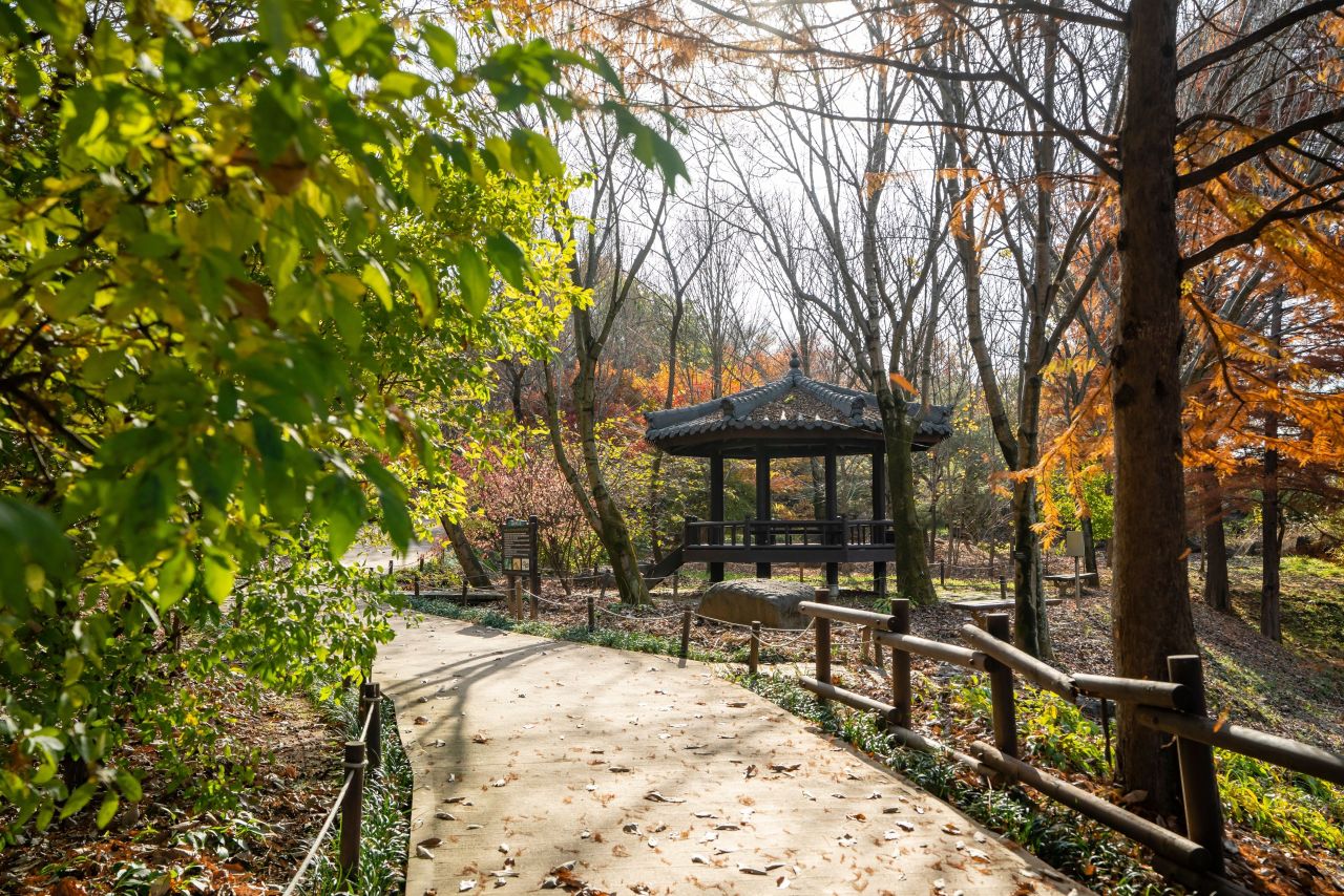 한국도로공사 전주수목원의 굽은 산책로와 수목 사이 정자