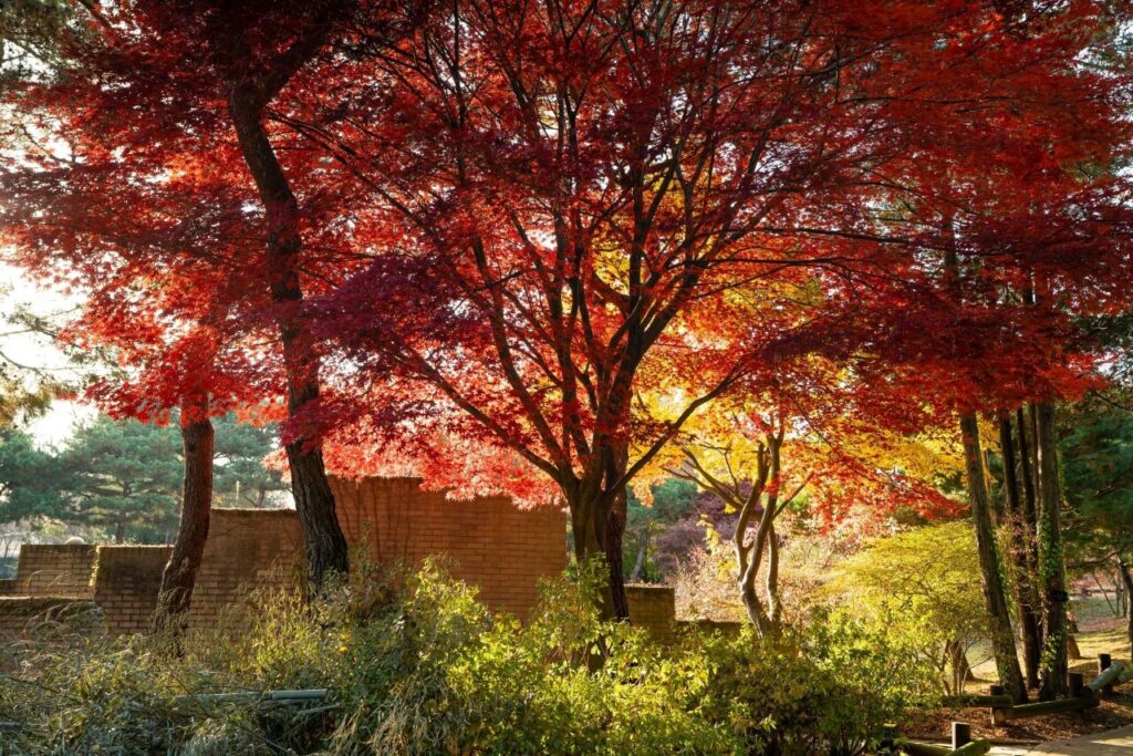 Jeonju Arboretum / 한국도로공사 전주수목원 - 2826340