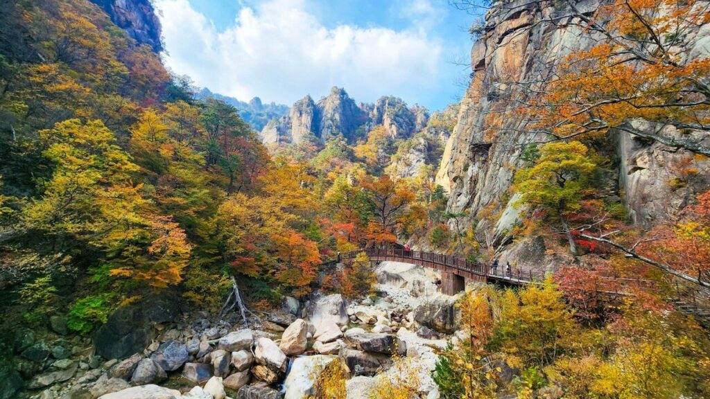 단풍 물든 설악산 주전골 — 강원특별자치도 양양군, 설악산국립공원