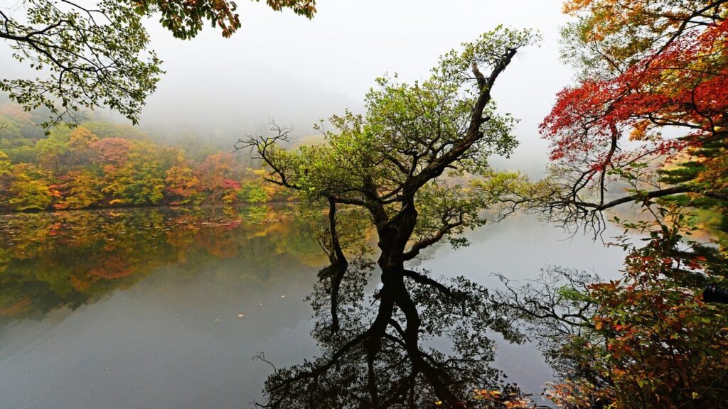 주산지 — 경상북도 청송군 부동면