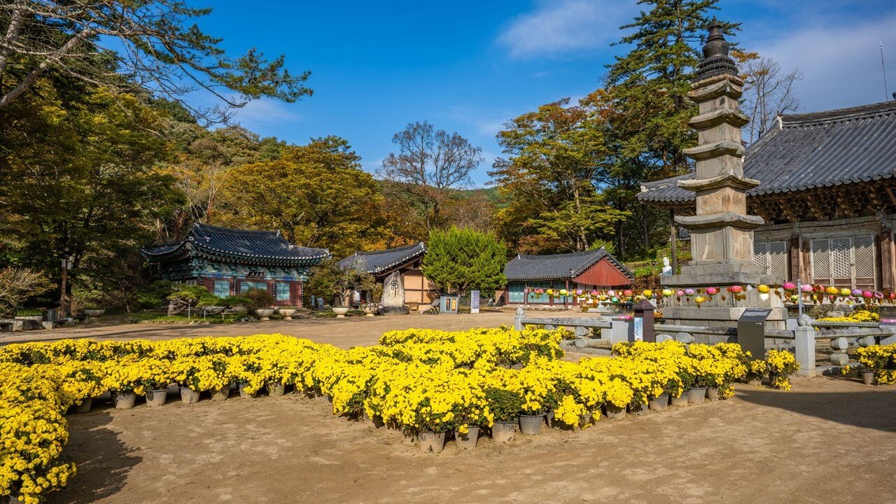 마곡사 오층석탑과 대광보전 앞 마당