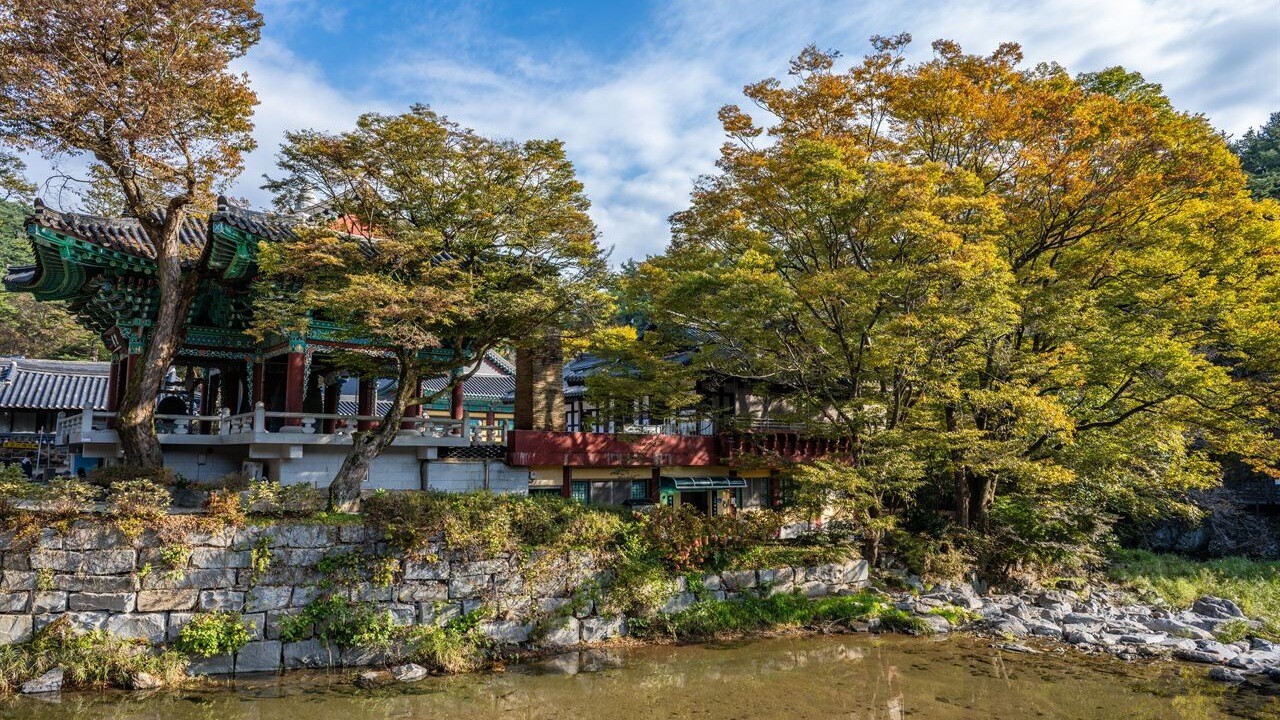 마곡사 물가와 나무 뒤의 전각