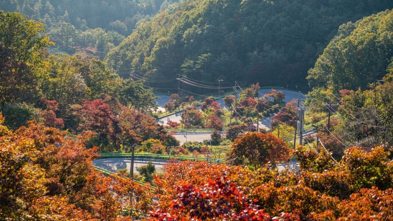 말티재 도로 주변의 붉은 나무와 숲