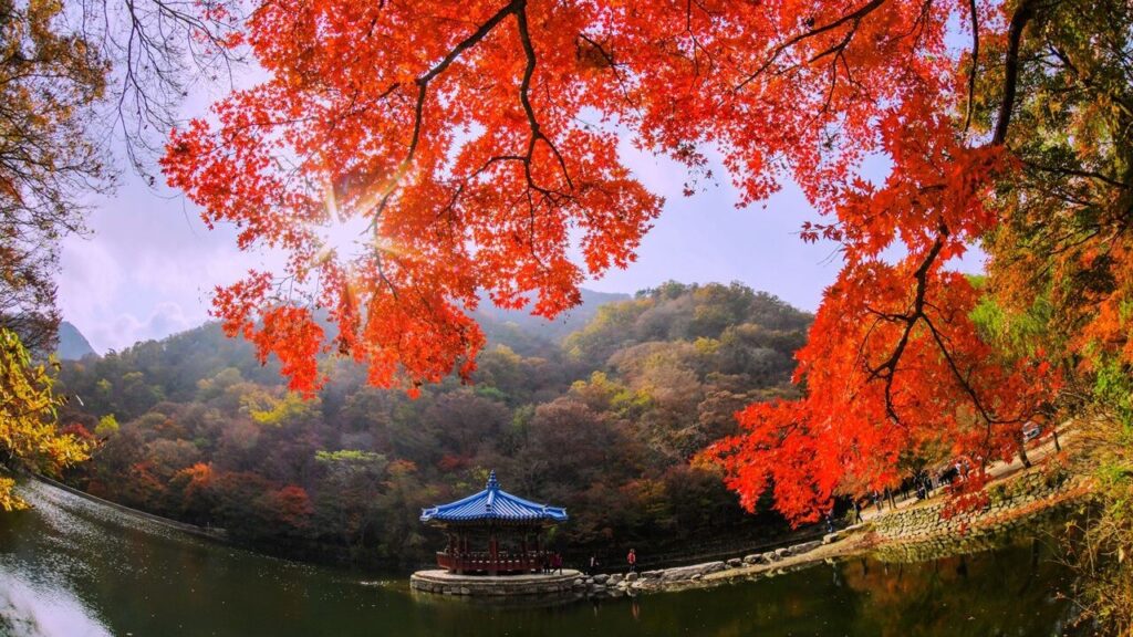 내장산국립공원 — 전라북도 정읍시 내장동