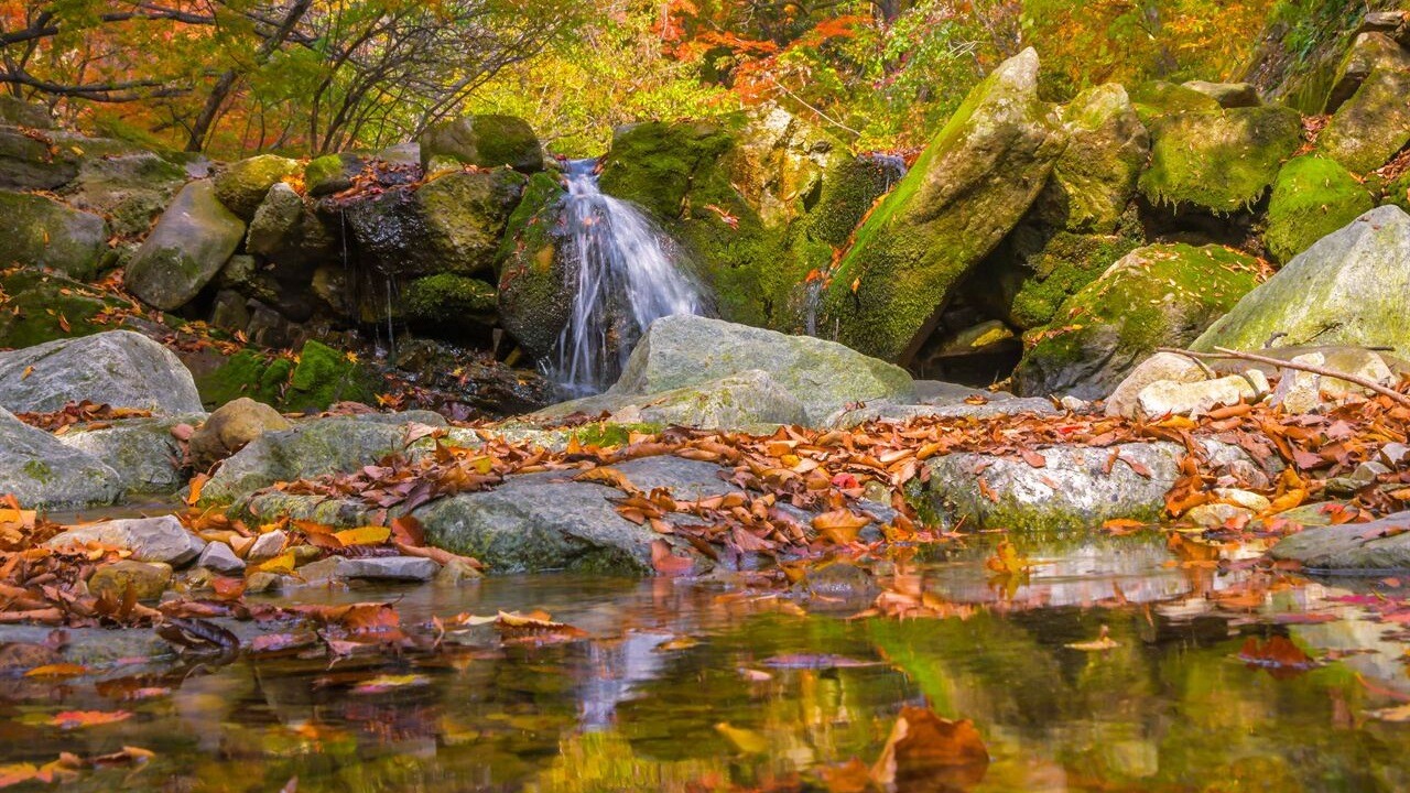 Water flowing between rocks and fallen leaves in Naejangsan National Park