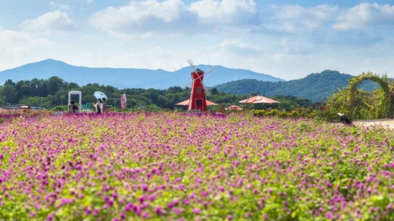 나리농원 — 경기도 양주시 광사동