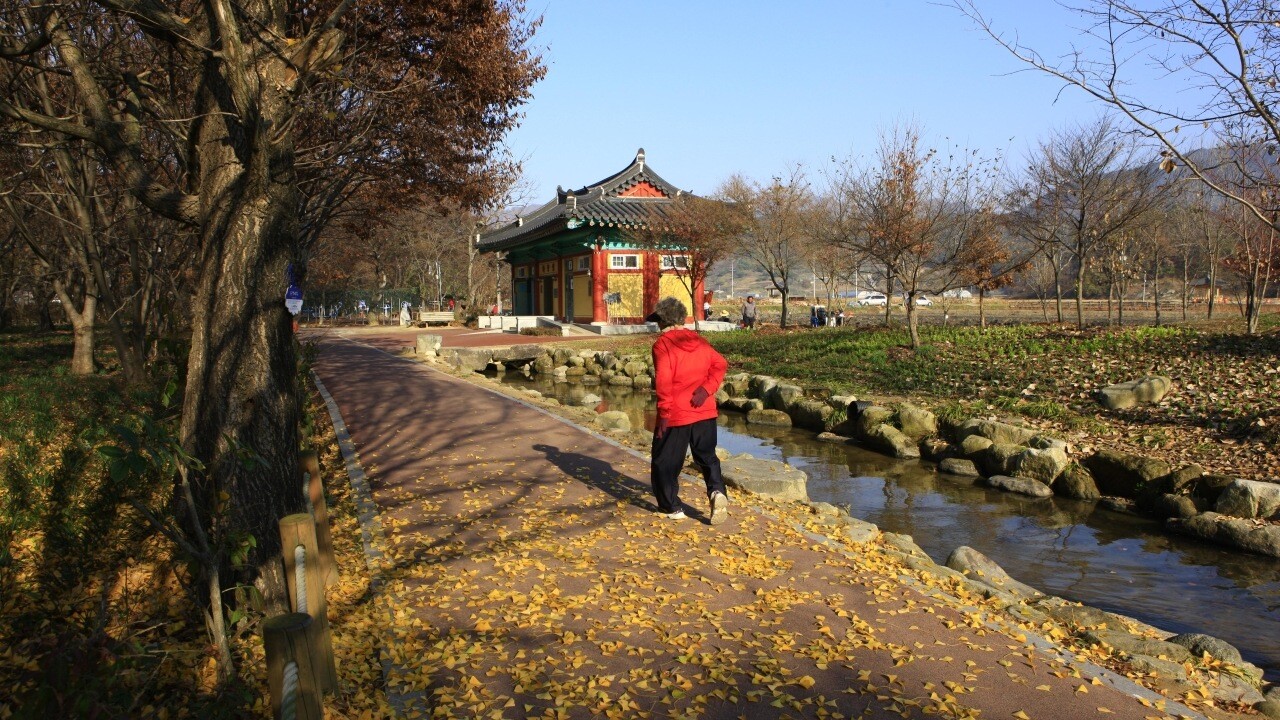 상림공원의 기와 건물과 낮은 물길을 따라 이어지는 길