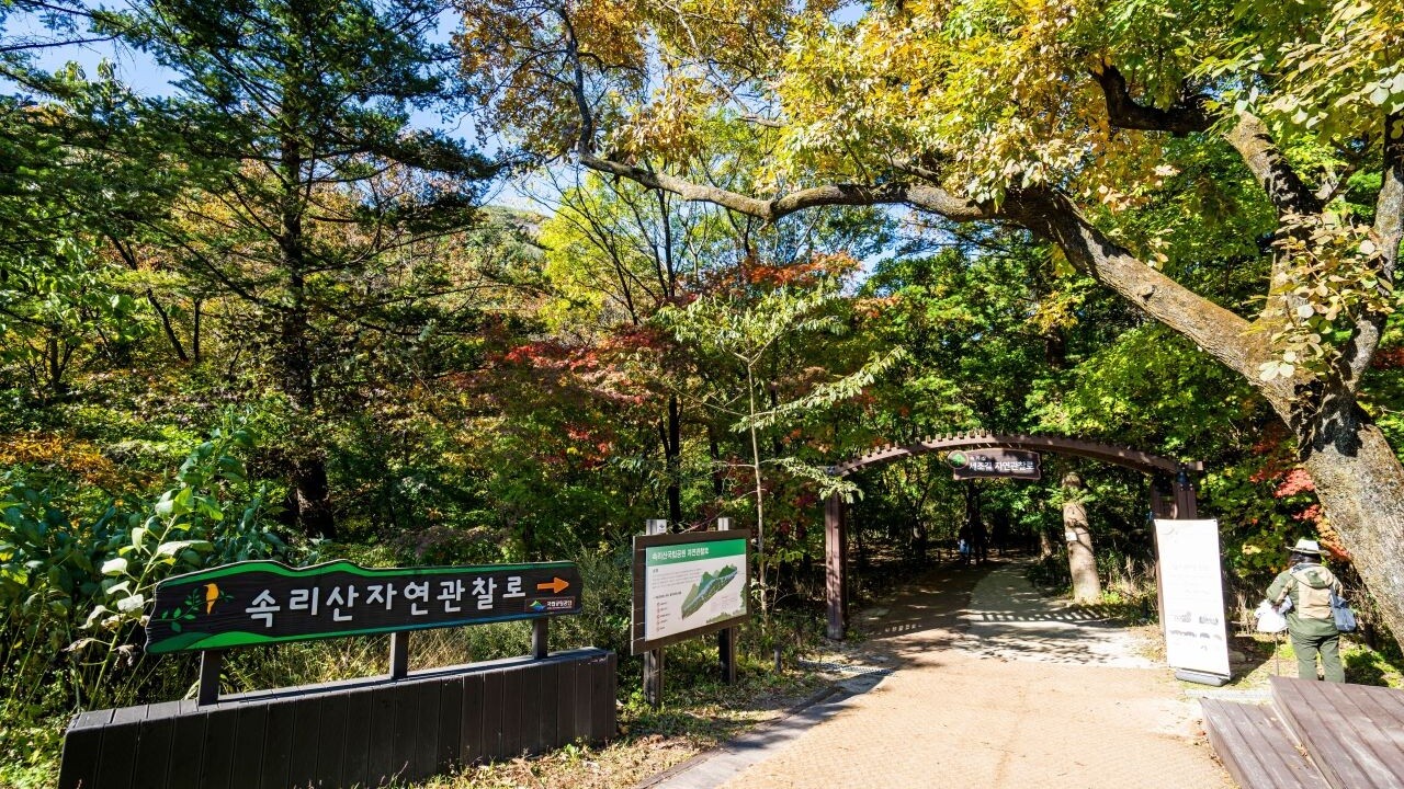속리산 자연관찰로 입구와 숲으로 이어지는 길