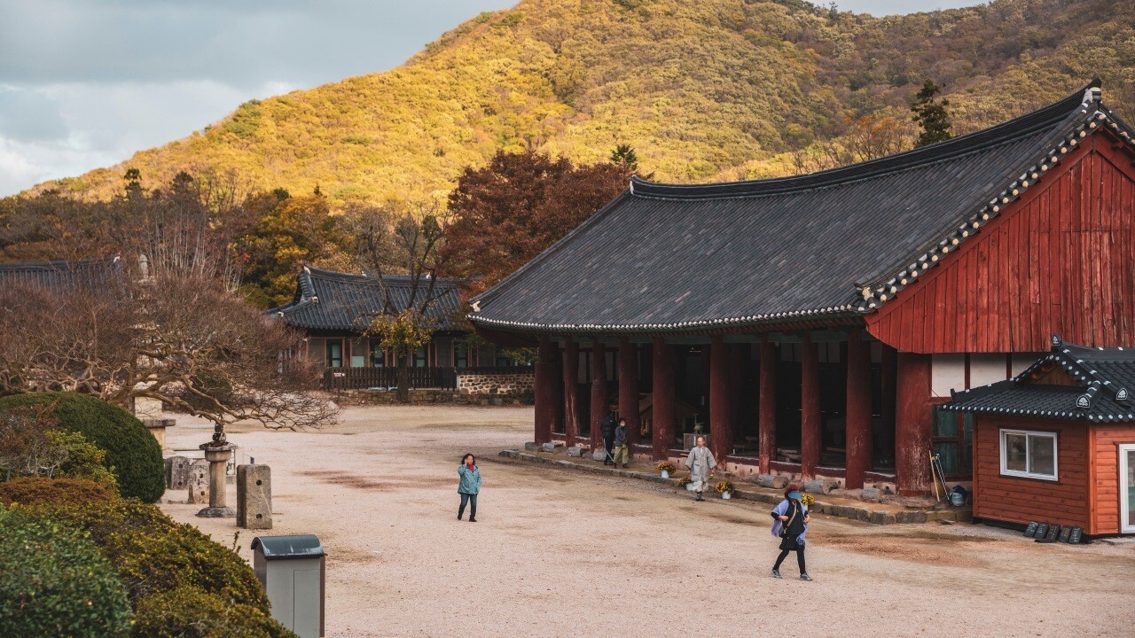 선운사 마당의 전각과 뒤편 산자락