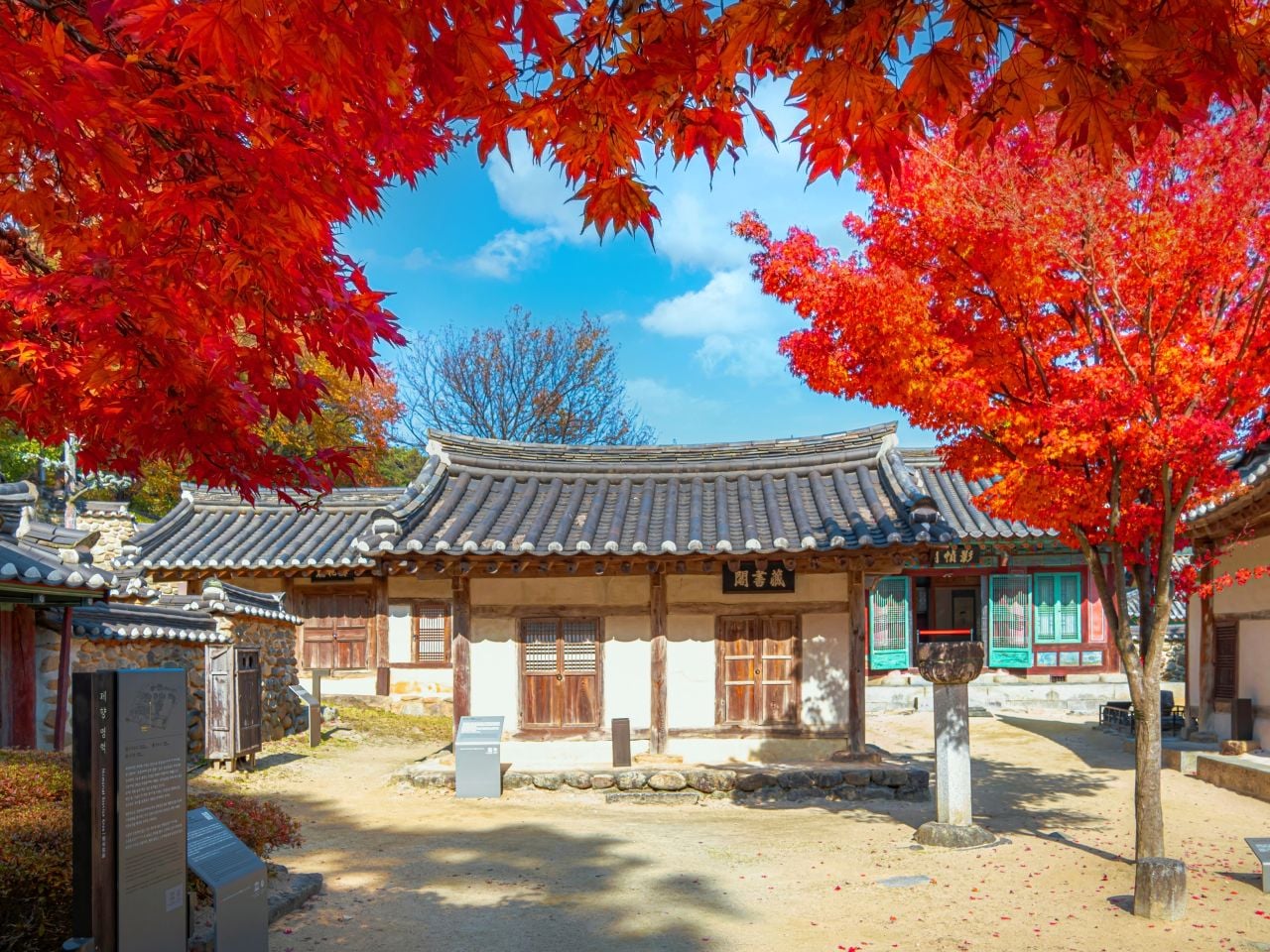 붉은 단풍 가지 아래 보이는 소수서원의 기와지붕과 목조 전각