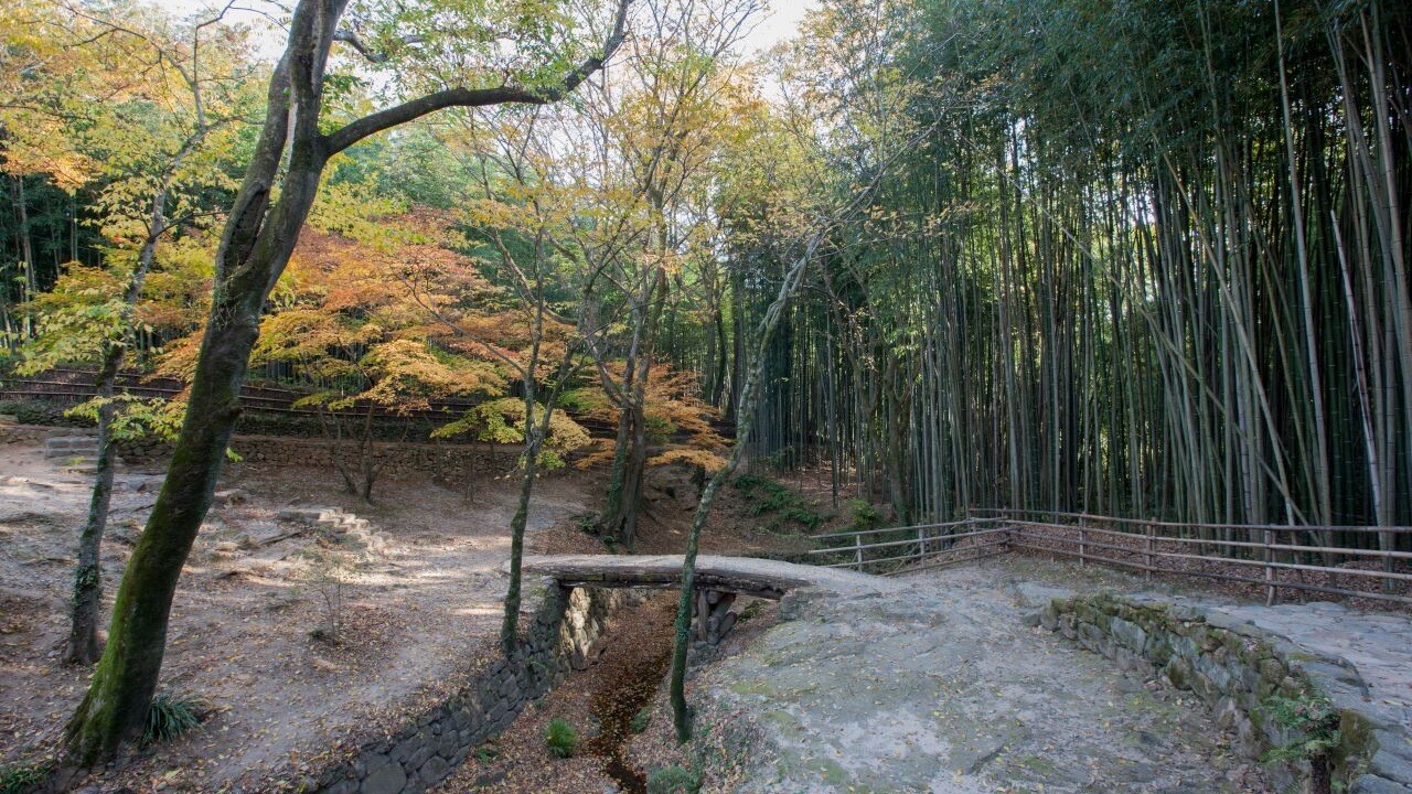 소쇄원의 대숲 옆 작은 다리와 그 아래를 지나는 물길