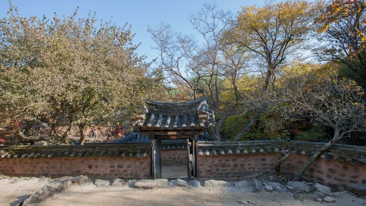 소쇄원 낮은 돌담과 작은 기와 문 너머로 펼쳐진 가을 나무