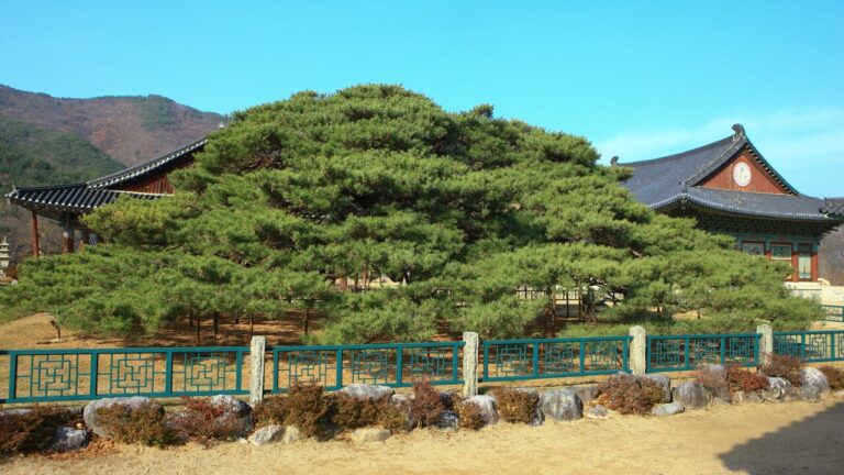 청도 운문사 — 경상북도 청도