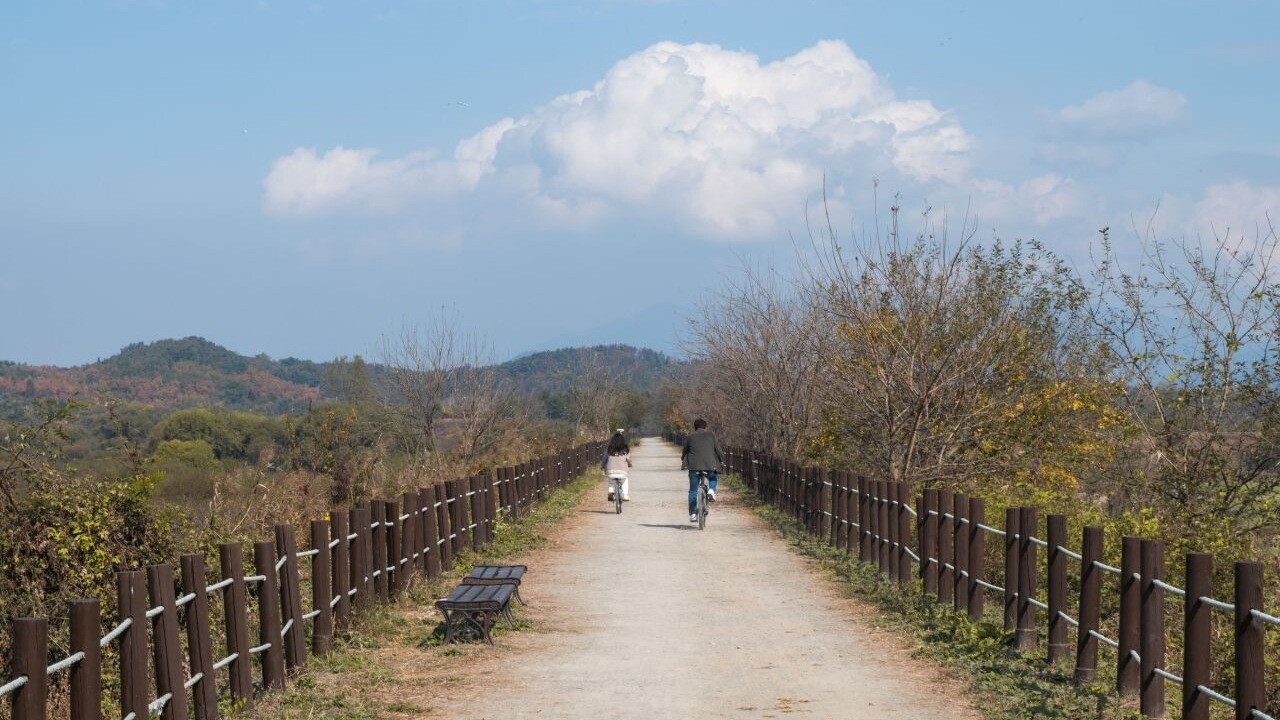 우포늪 탐방길의 나무 울타리와 벤치, 멀리 이어지는 가을 나무