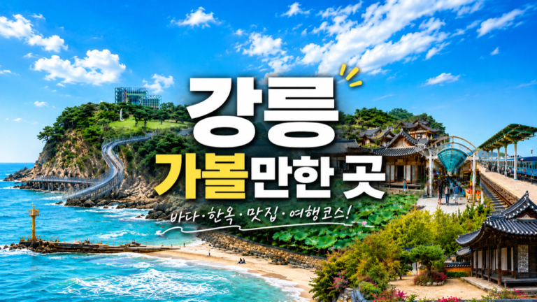 “강릉 처음 가면 어디부터 가야 할까요?”… 바다·카페·역사·먹거리까지 실패 줄이는 여행 코스