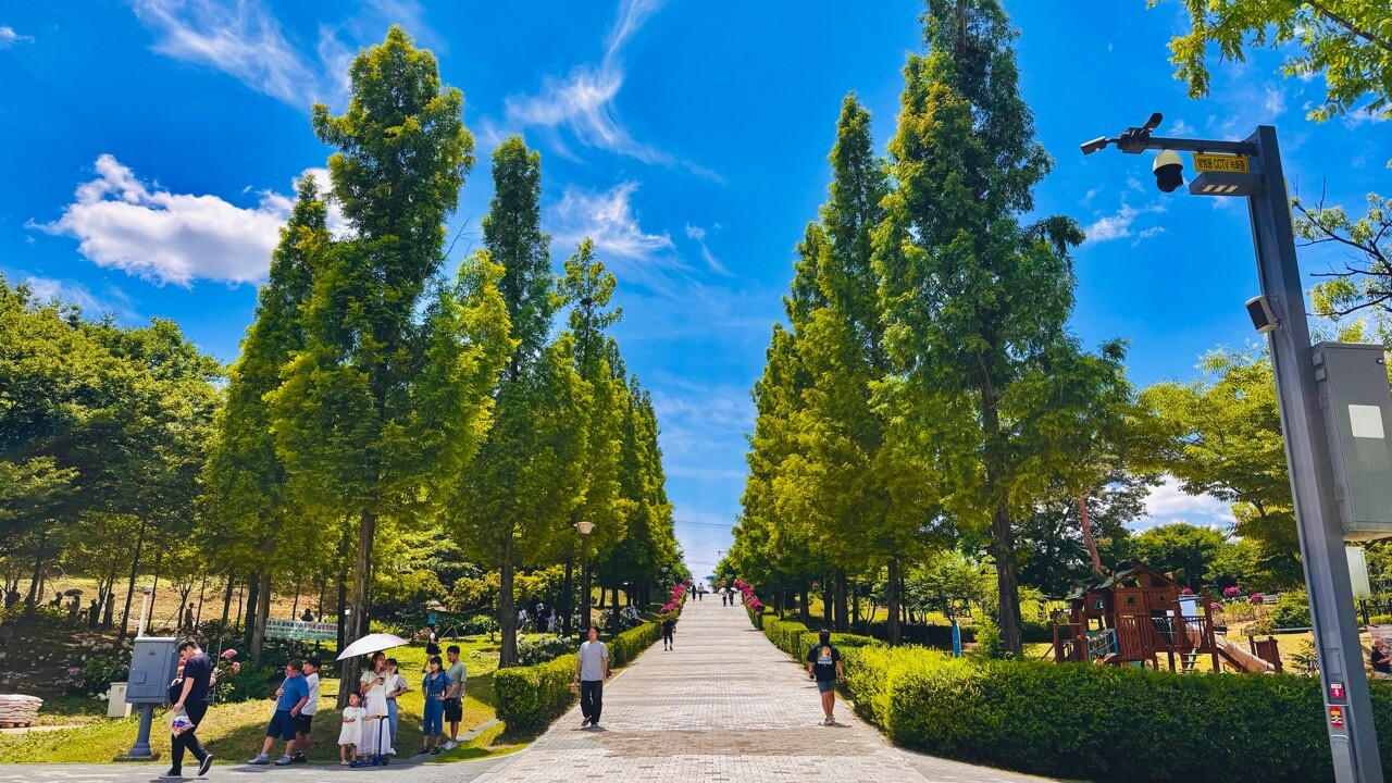 평택 내리문화공원 입구에서 이어지는 나무 산책로