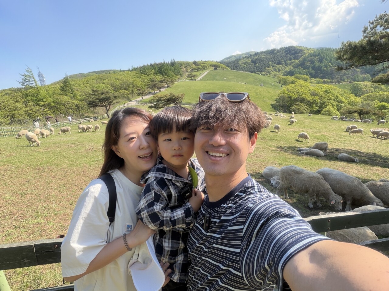 대관령 양떼목장에서 양과 함께 사진을 찍는 가족