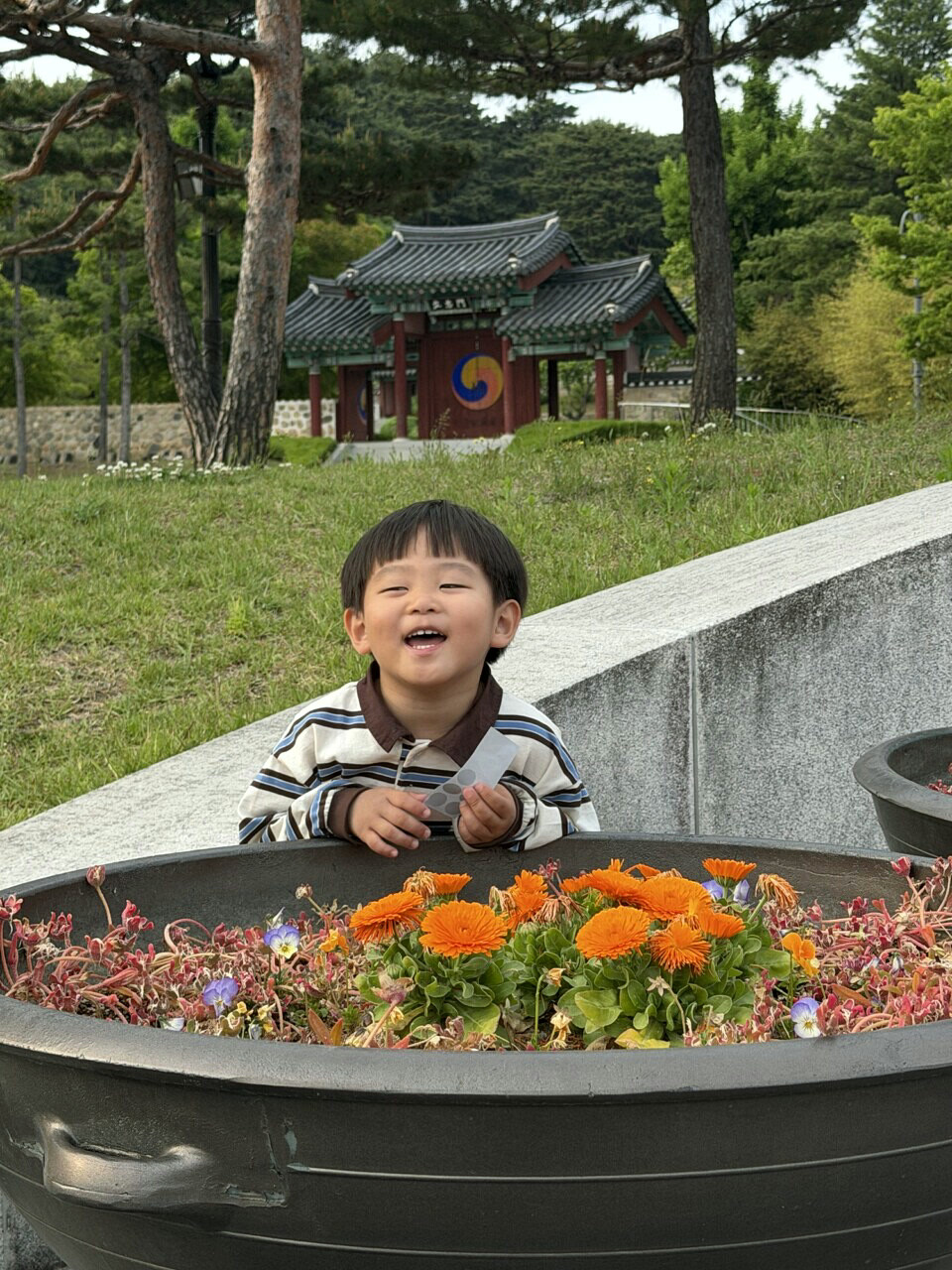 강릉 오죽헌 경내 꽃밭 앞에서 웃고 있는 아이