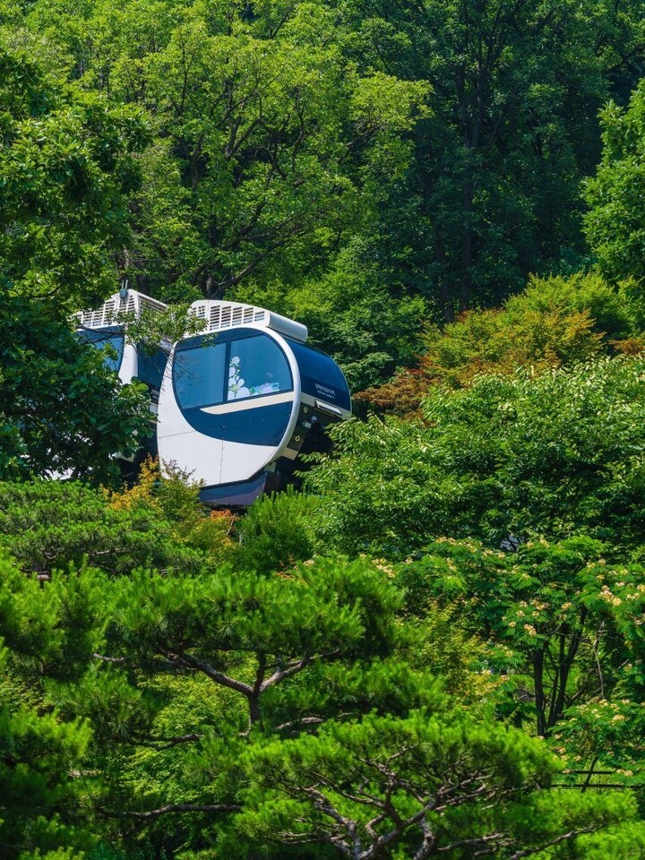 나무 사이를 천천히 오르는 화담숲 모노레일